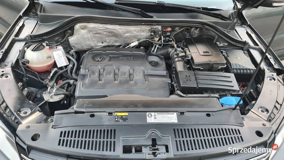 Volkswagen Tiguan 20 Tdi 110 diesel wielkopolskie Odolanów