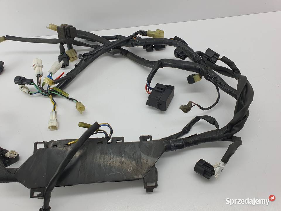 Wiazka Instalacja Yamaha Rx1 Warrior Mountain Łódź