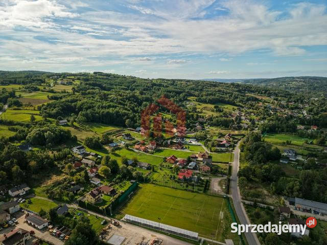 Grunt Lubenia 2932m2 sprzedam
