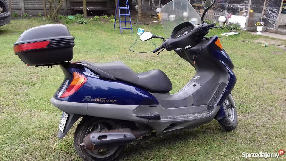 sprzedam skuter HONDA PANTHEON 150 R1999 Motocykle, skutery, quady Dąbie