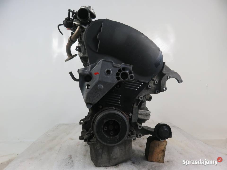 SILNIK GOLF IV LEON A3 19 TDI 90 ALH KOMPLETNY osobowe