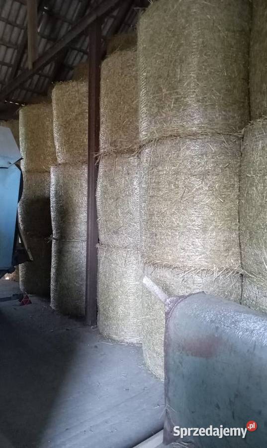 Słoma w belach mazowieckie Somianka