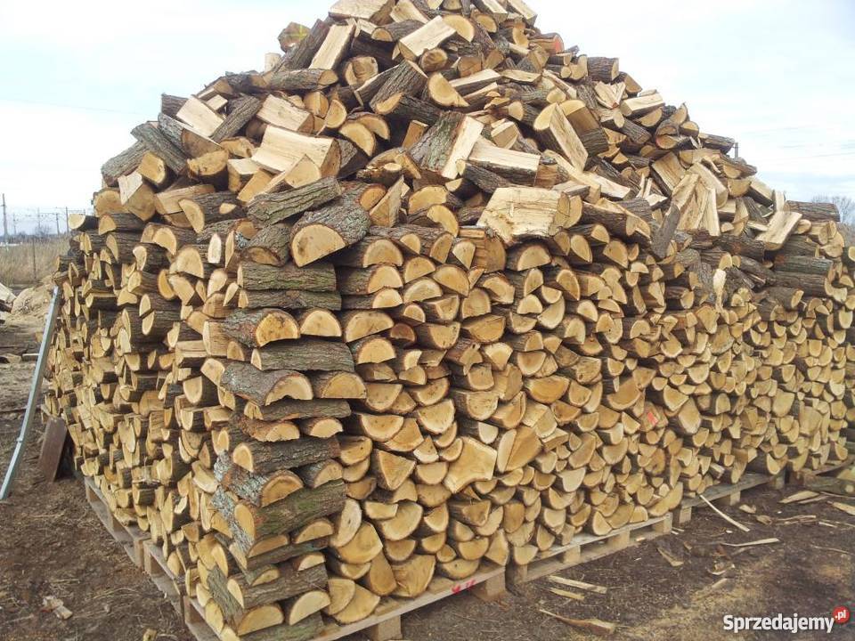 DREWNO KOMINKOWE DĄB SZAMOTUŁY POZNAŃ LUSOWO wielkopolskie