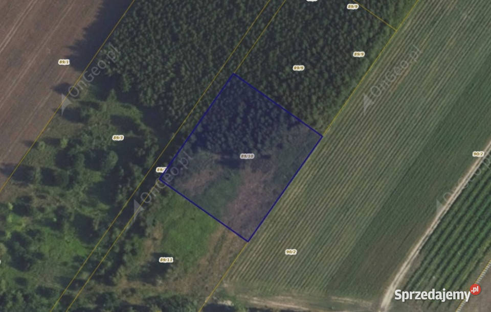 Działka 8910 w miejscowości Kamienica