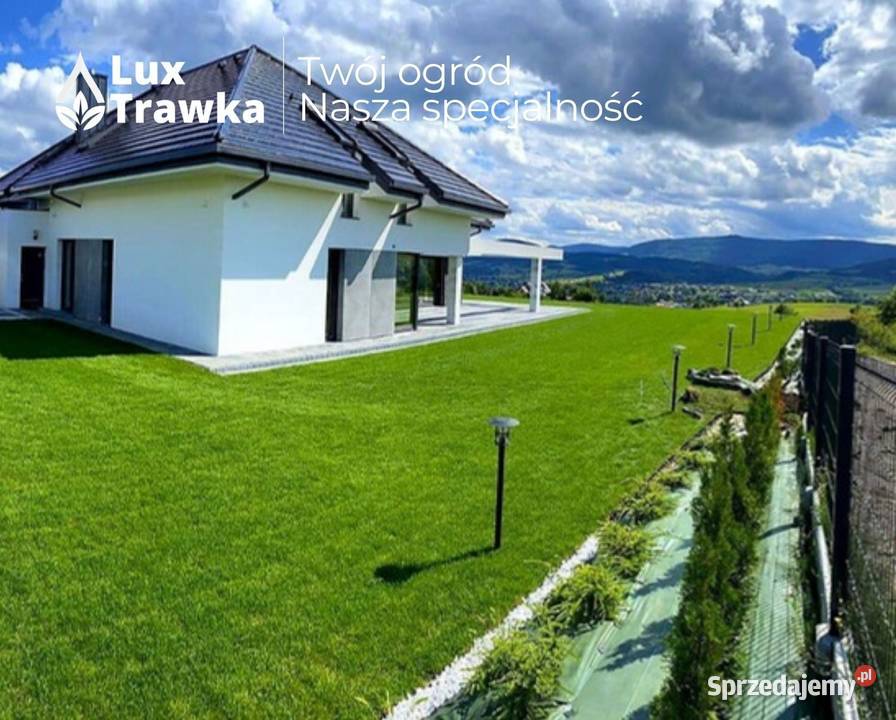 Trawa z rolki Trawa w rolce Przygotowanie małopolskie Kraków