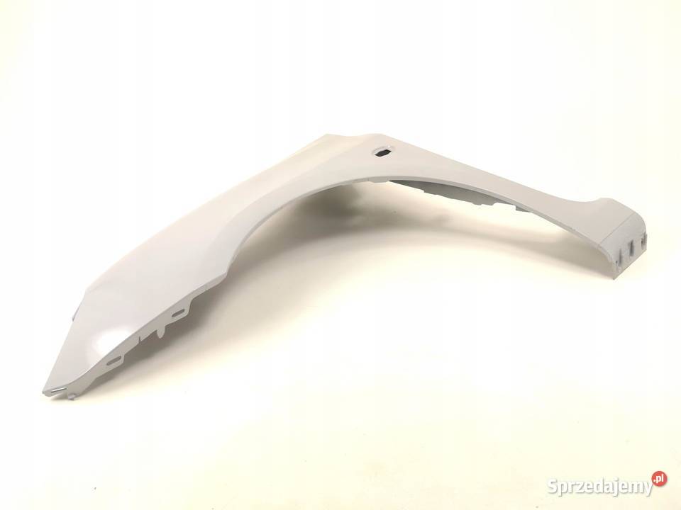 BŁOTNIK LEWY PRZÓD PEUGEOT 307 20012005 NOWY osobowe