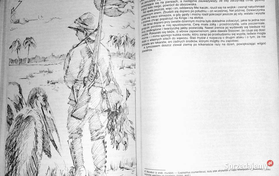 W pustyni i w puszczy Henryk Sienkiewicz Rok wydania 1990 Chełm