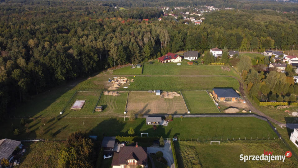 Działka Orzesze Pasieki 702m2 śląskie