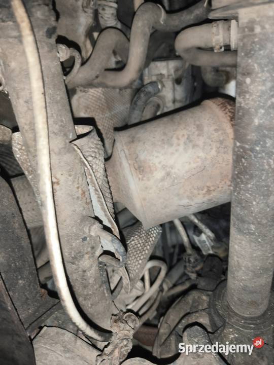 Ford tourneo connect 18d nieuszkodzony Kózki