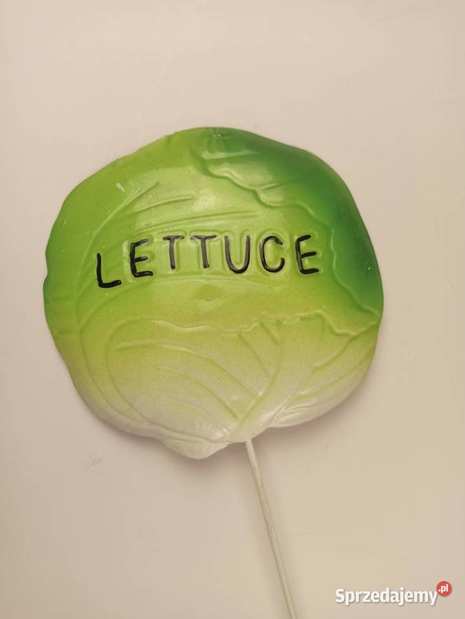 Znacznik Ogrodowy Do Warzyw Metalowy 78 podkarpackie Stalowa Wola