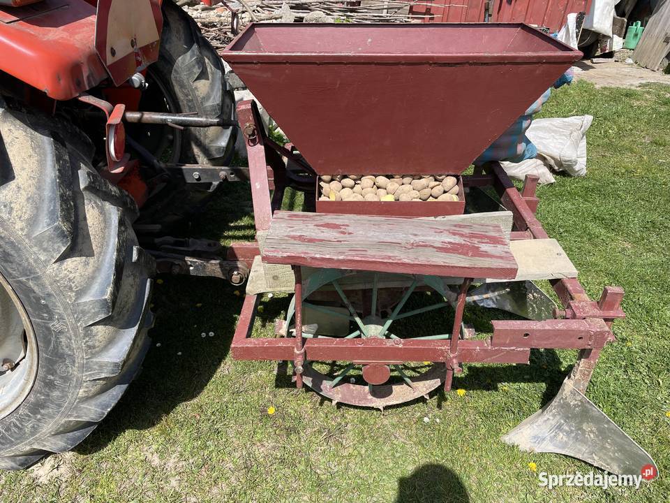 Sadzarka do ziemniaków Zalasowa