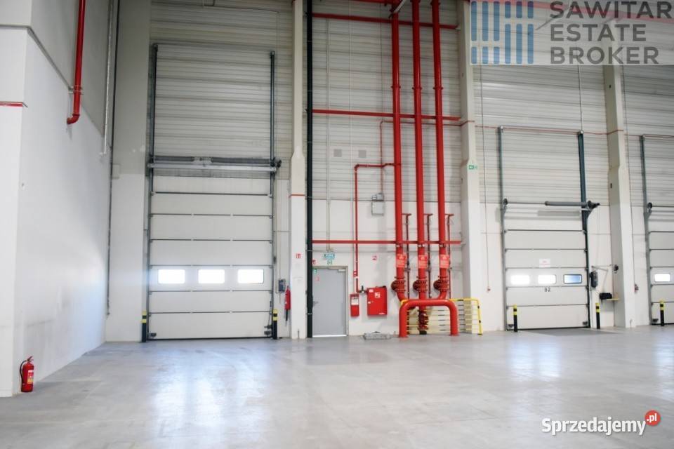 Hala klasy A 2564m2350m2 biursocjalbez prowizji dojazd asfaltowy Sady