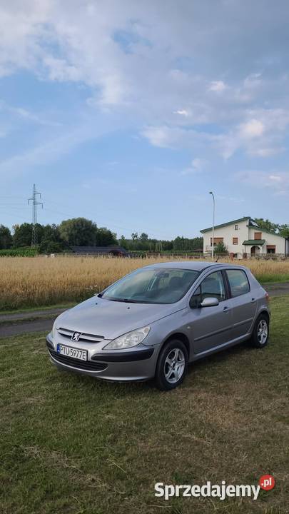 Peugeot 307 zadbany 7lat w jednych rękach Turek