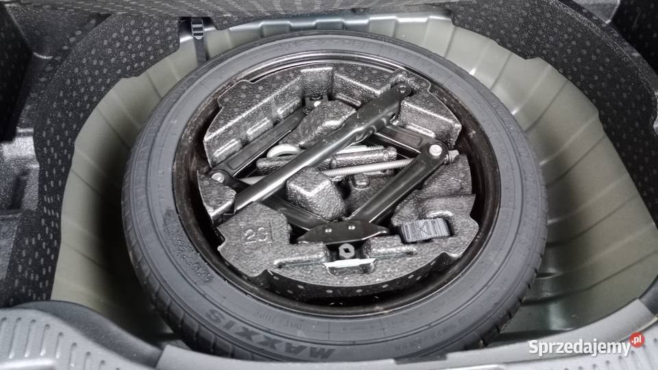 Pełen Carpass Zarejestrowany czujnik zmierzchu wielkopolskie Poznań