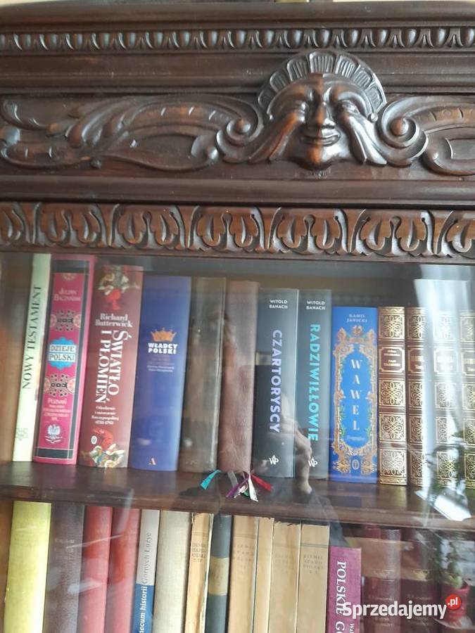 Szafa biblioteczna Międzychód