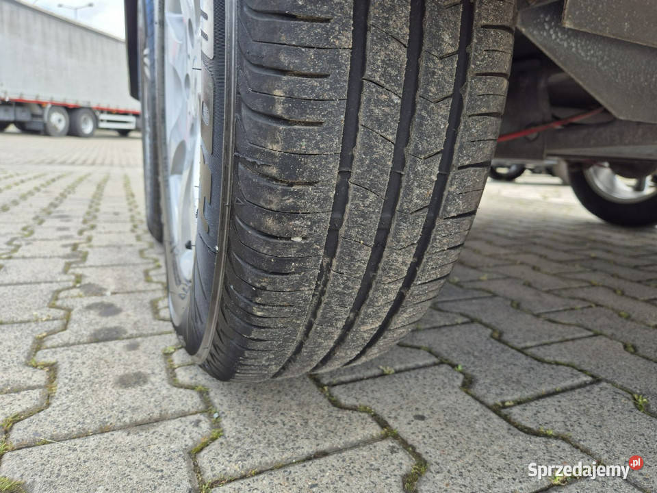 do przewozu zwierząt Humbaur REXUS 2000 DO śląskie