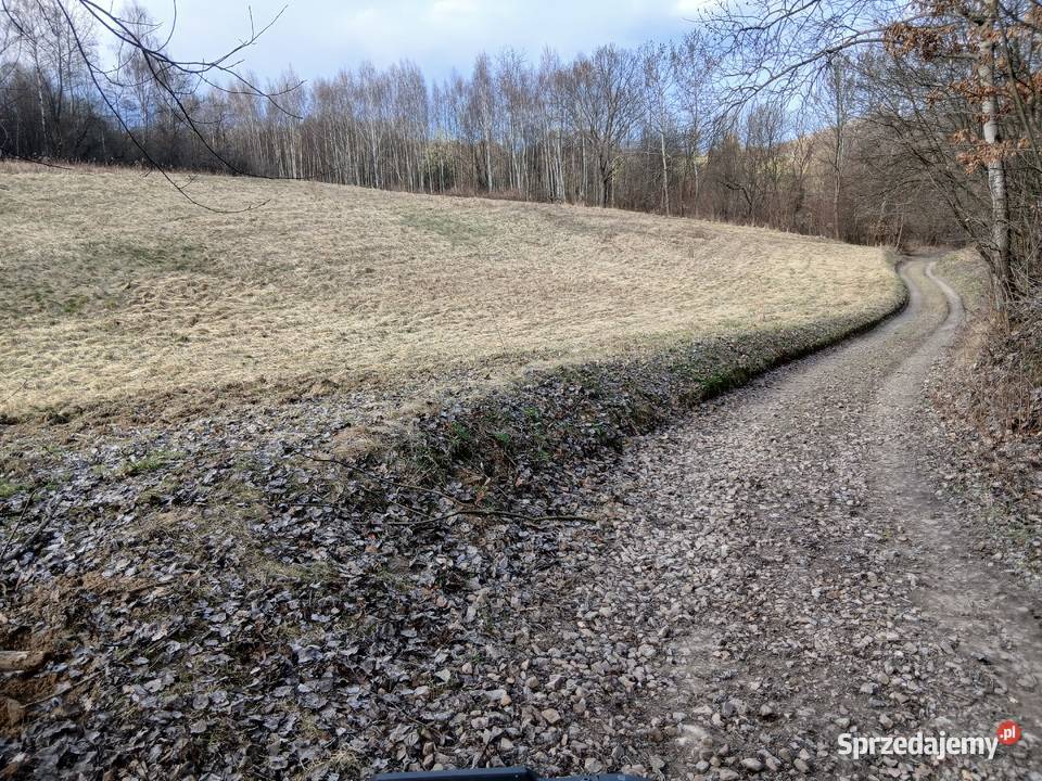 Działka rolna Czułów 70ary małopolskie