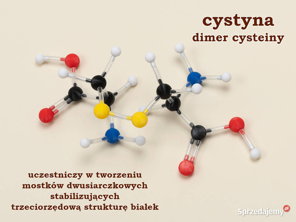 Modele atomów CHEMIA ORGANICZNA szkoła podst 200 Warszawa sprzedam