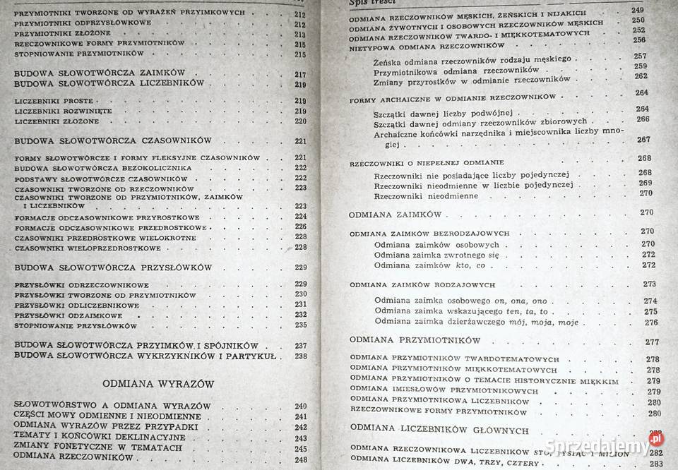 Gramatyka języka polskiego Zarys popularny Piotr Chełm