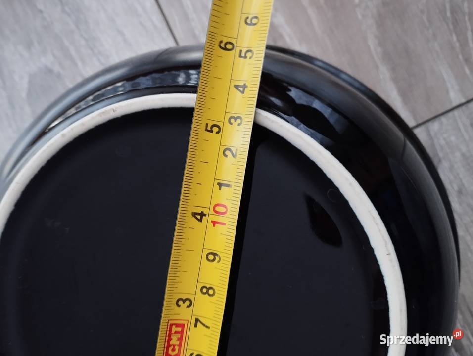 miska czarna wielkopolskie