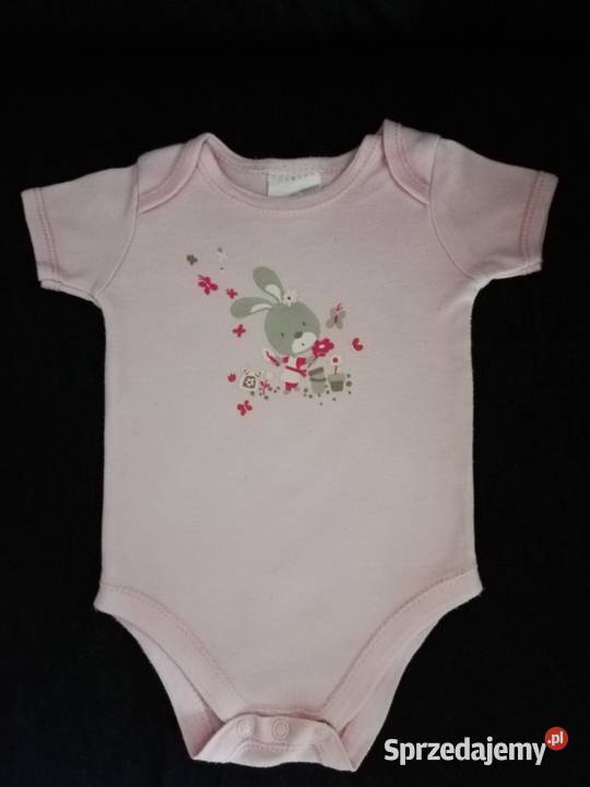 Body 5056 z krótkim rękawem zajączek królik śląskie Katowice