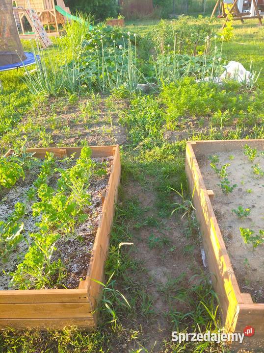 Perlit AGRO Ogrodniczy workowany 125l frakcja Biłgoraj sprzedam