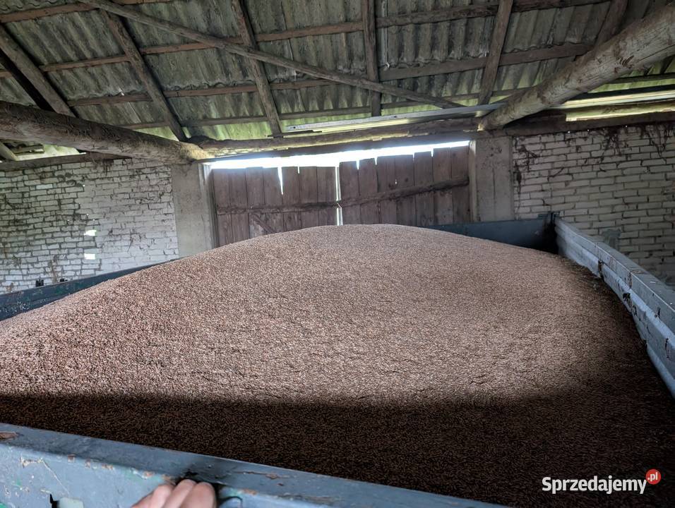 Przyczepa wywrotka Knyszyn-Zamek