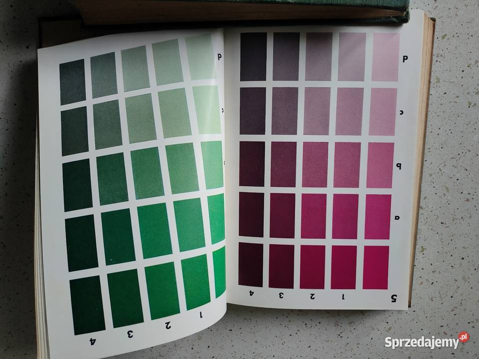 Design z lat 50 How to ColorTune Your Home twarda wielkopolskie