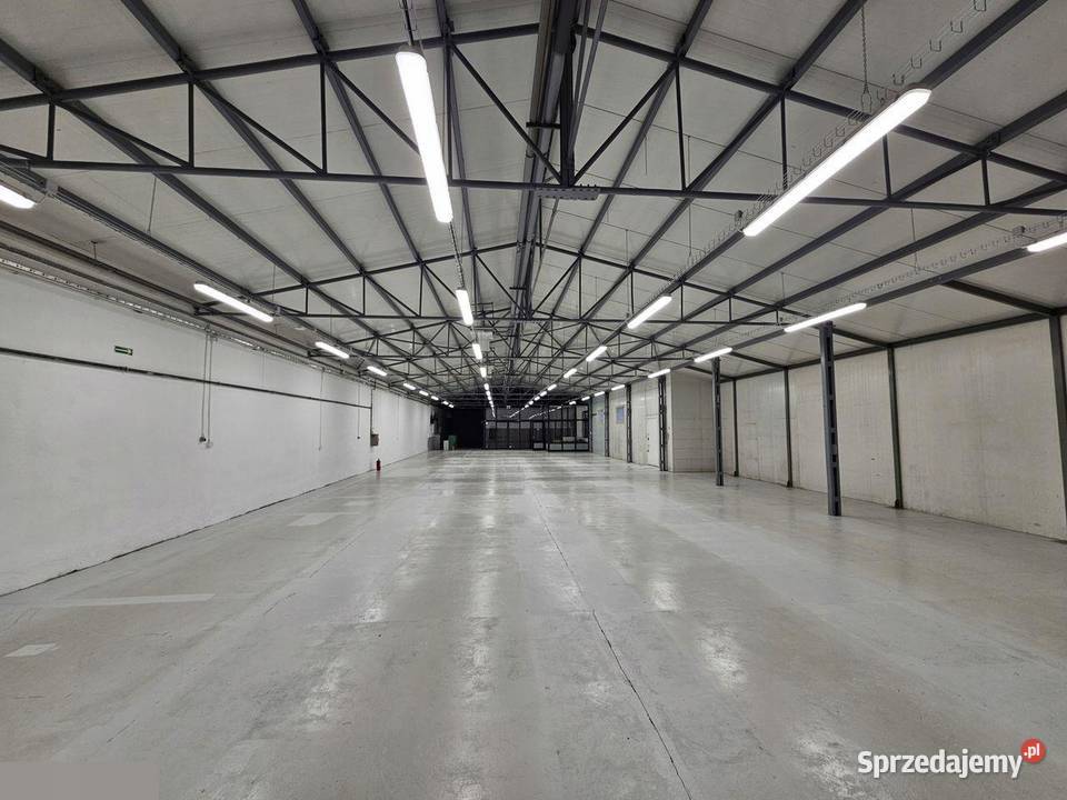 Do wynajęcia biura market magazyny 2502000 m2 warmińsko-mazurskie Olsztyn sprzedam