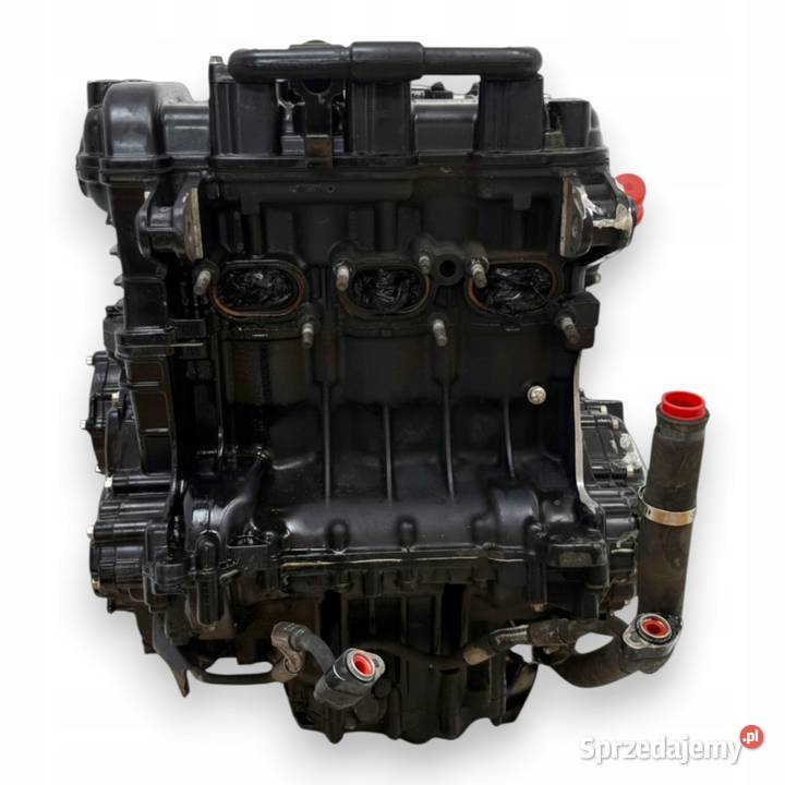 SILNIK Triumph Tiger 1050 115 20072012 engine Chełm