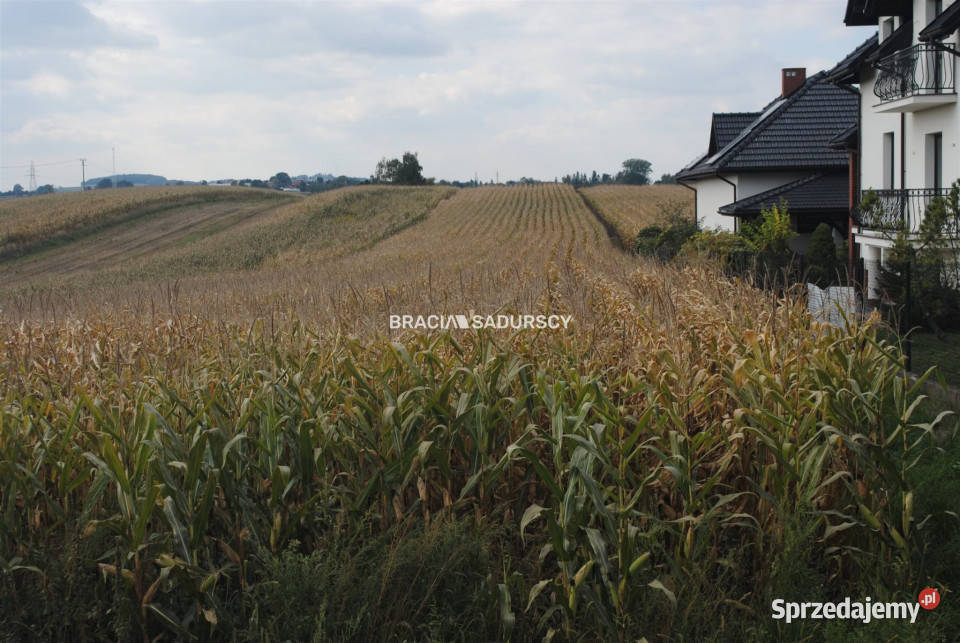 Grunt 6744m2 Proszowice Kolejowa małopolskie sprzedam
