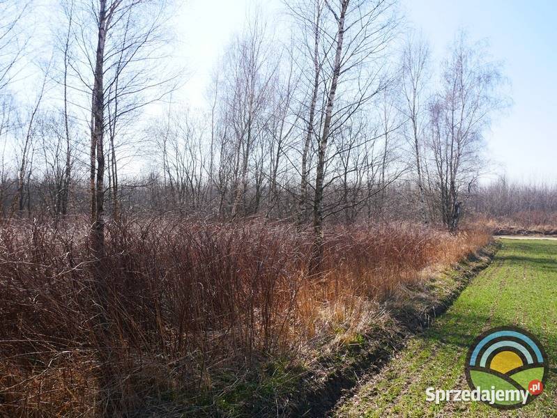 Działka przemysłowa 28arowa w Morawicy 2803m2 małopolskie Morawica