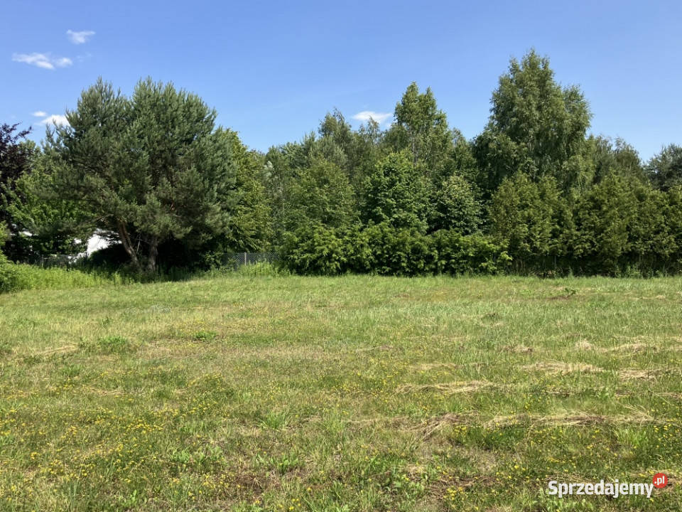 Urokliwa działka Żółwin Południowa utwardzona