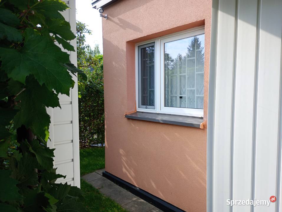 odstąpię prawo do działki ROD im M Kasprzaka w