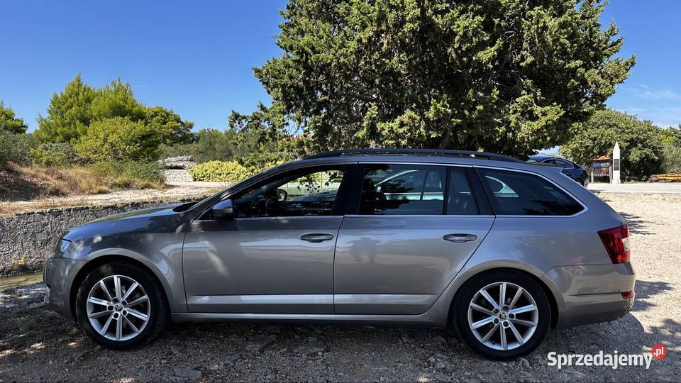 Octavia 20 TDI Bixenon Canton pół skóra duża elektryczne lusterka Milejów-Osada