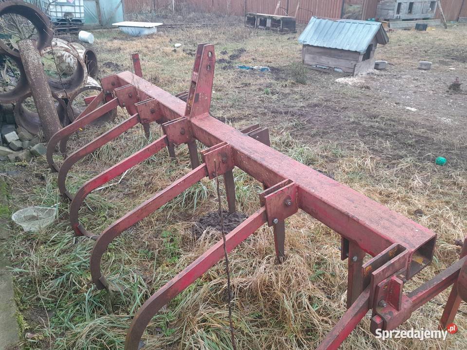 Głębosz nieuszkodzony Szczytno