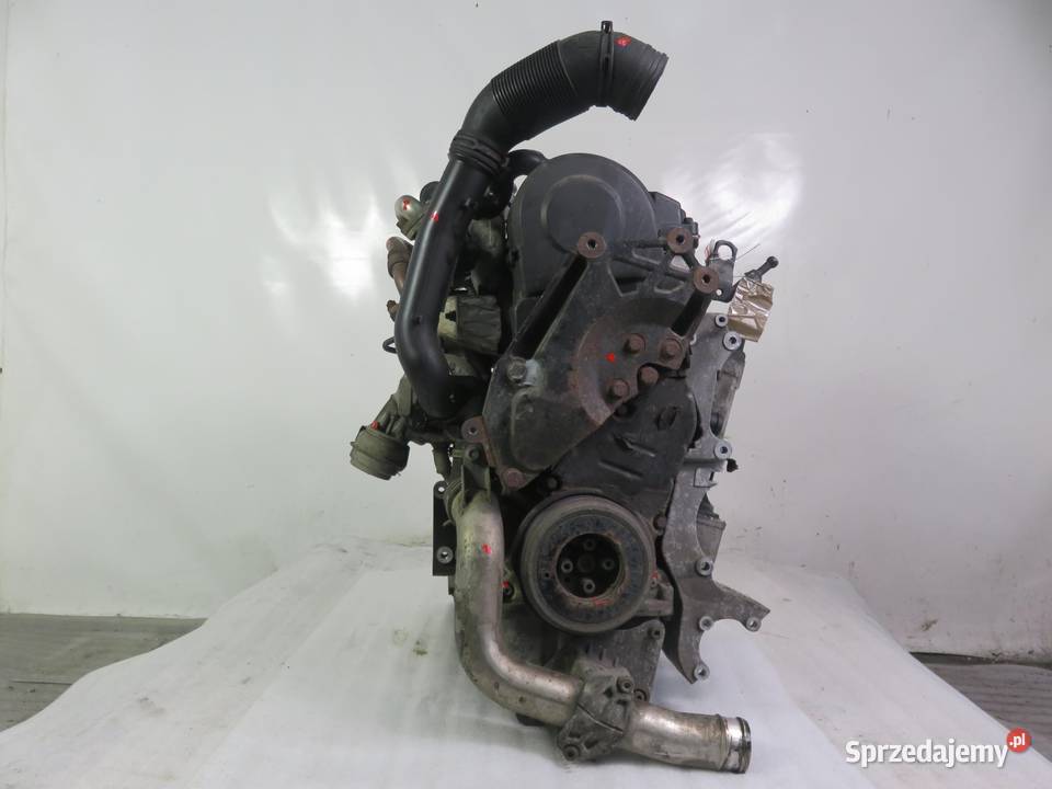 SILNIK SEAT ALHAMBRA I 19 TDI PD 115 AUY sprzedam