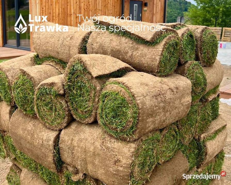 Trawa w rolce Trawa z rolki Dostawa na terenie Zakopane