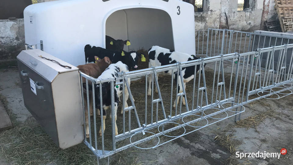 Pojemnik na paszę i siano do domków XL CalfOTel opolskie Opole