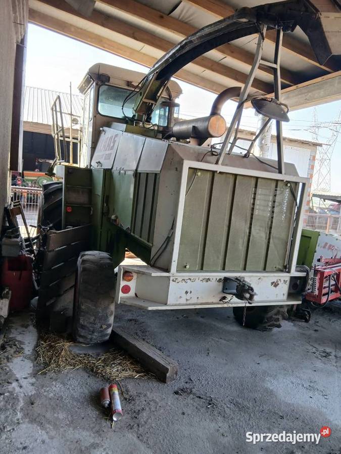 Claas Jaguar 690 sl 695 mega sieczkarnia do wielkopolskie Przyłubie