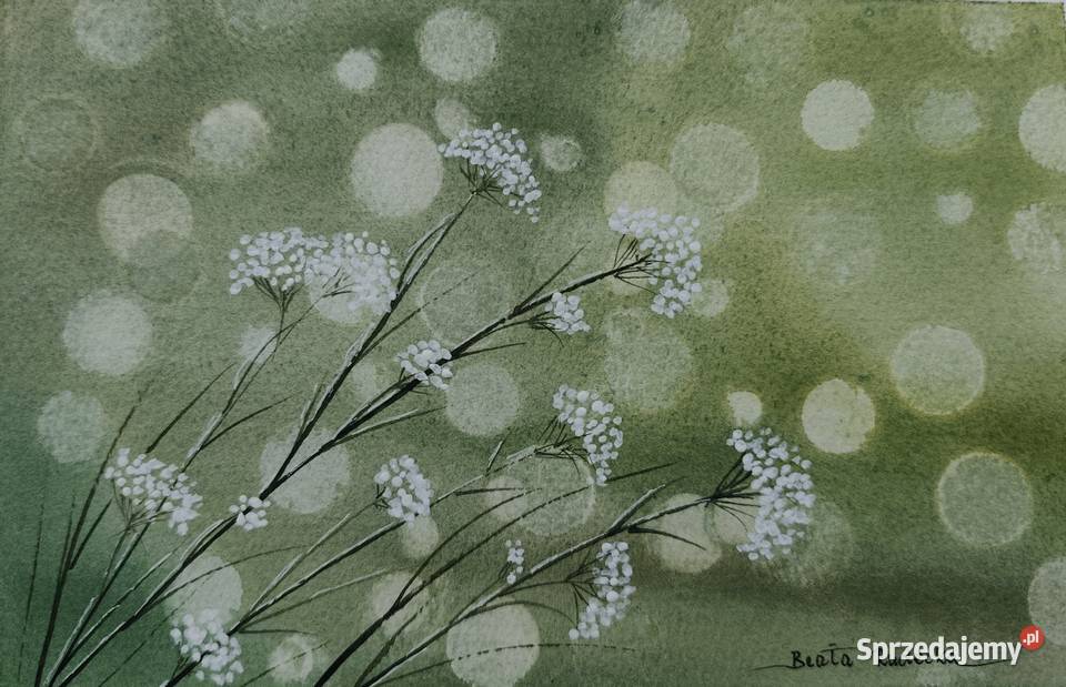 Akwarela Akwarelka Obraz Subtelność Autorska Malarstwo Poznań