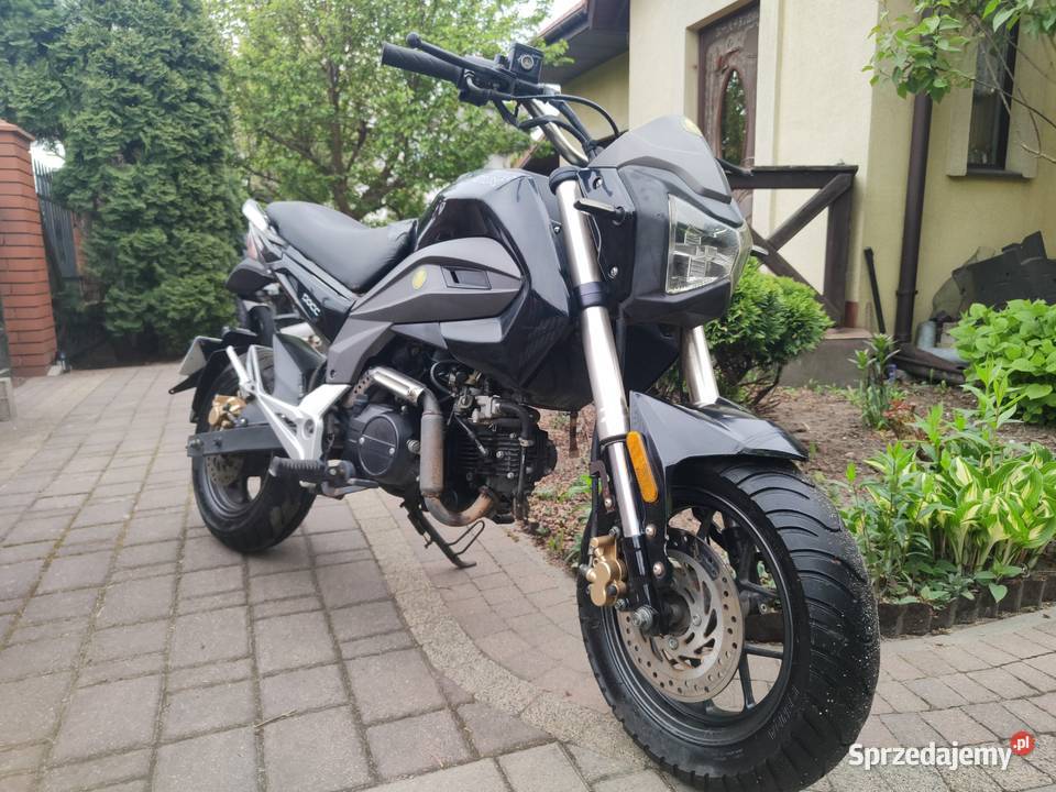 MOX motorek 503 Przasnysz