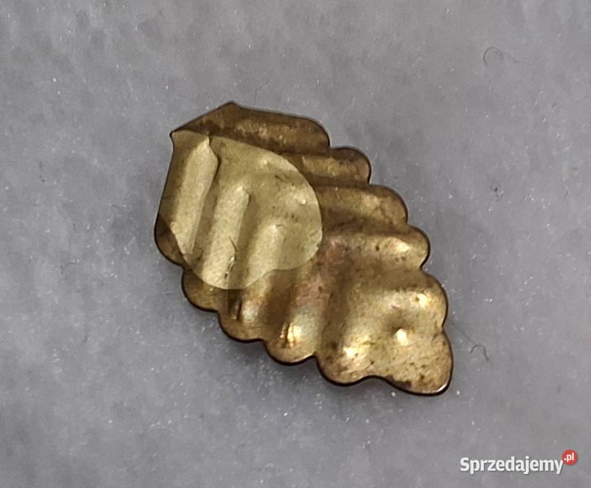 Listek z drzewka pomyślności 67x12mm Kreatywne Rękodzieło śląskie Czeladź