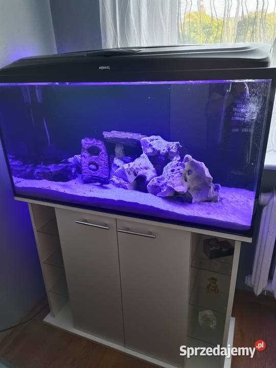 Sprzedam akwarium Akwarystyka wielkopolskie Poznań