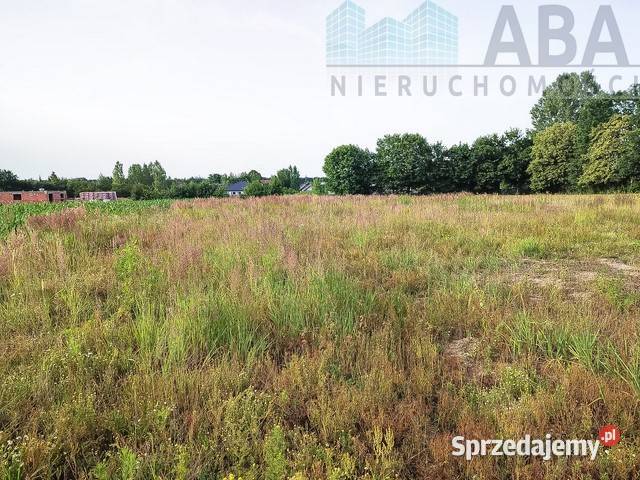 Sprzedam działki budowlane Bielawy obręb Sokółki wielkopolskie