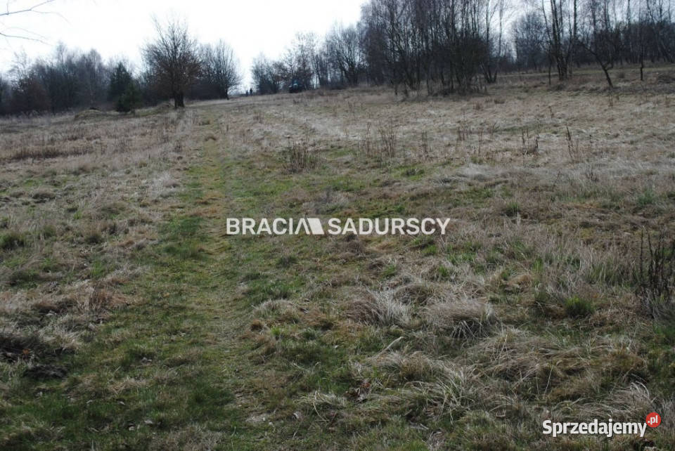 Grunt do sprzedania Słaboszów 19175m2 19175m2