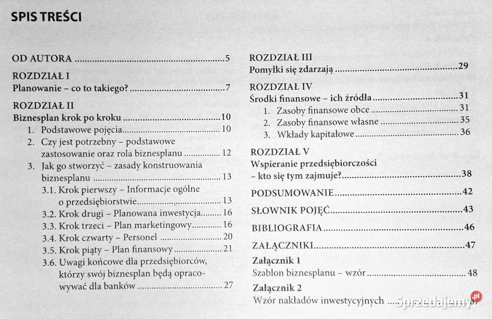 napisać poprawny biznesplan Beata Rok wydania 2010 lubelskie Chełm