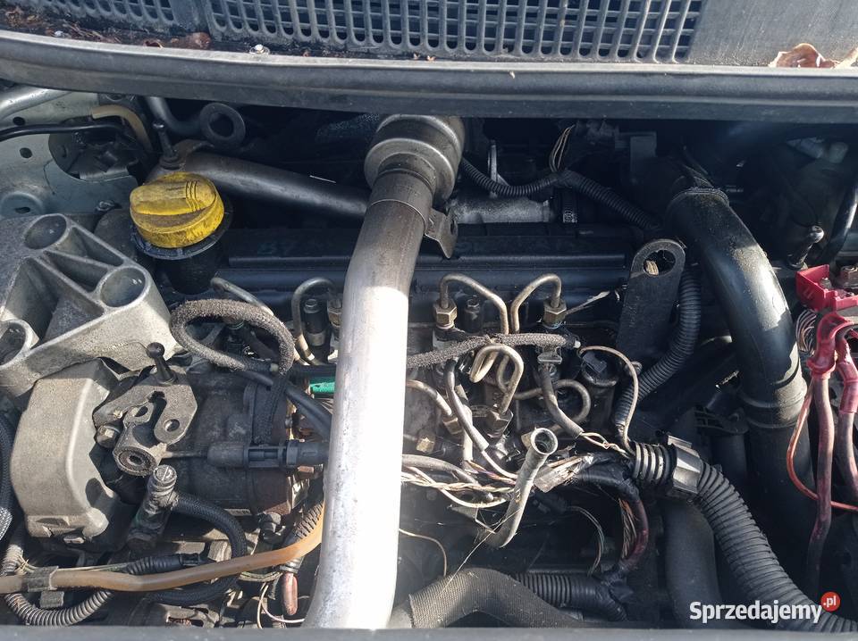 Renault Scenic 15 dCi 74 kW 2004 r dawca części wielkopolskie Szklarka Myślniewska