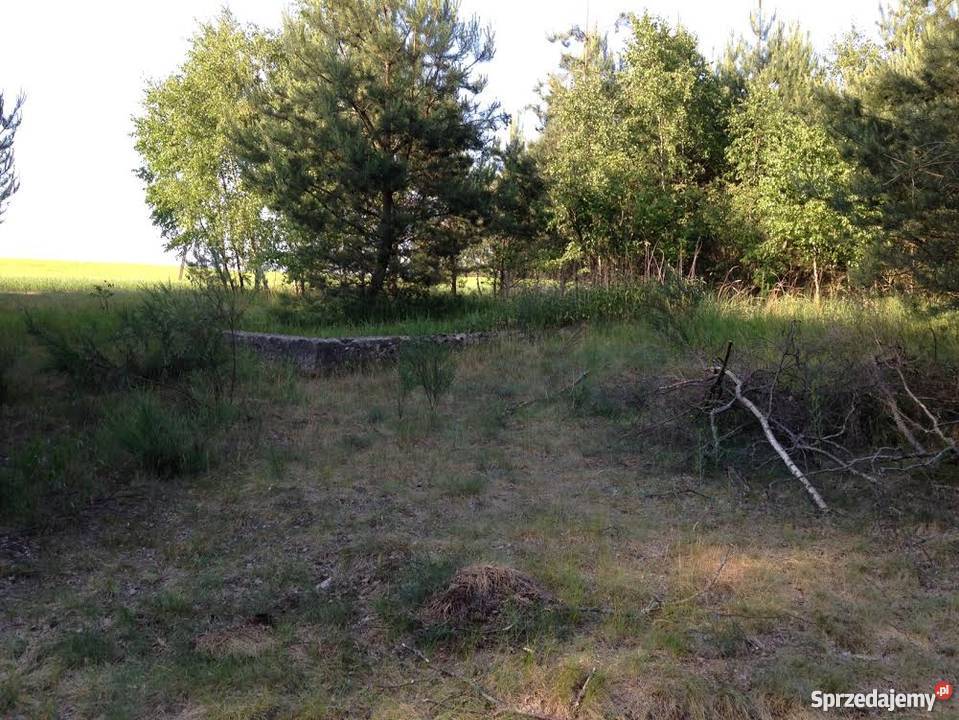 Sprzedam działkę budowlaną w lesie Bory kujawsko-pomorskie Mszano