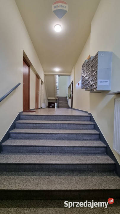 Żoliborz kameralne studio 34 m klimatyczne Liczba pokoi 1 Wynajem Warszawa